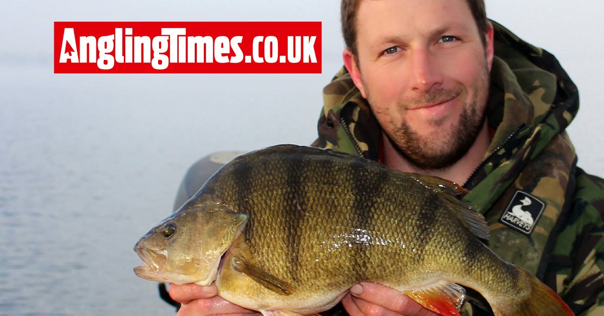 Angler left ‘grinning all day’ after huge perch catch Angling Times