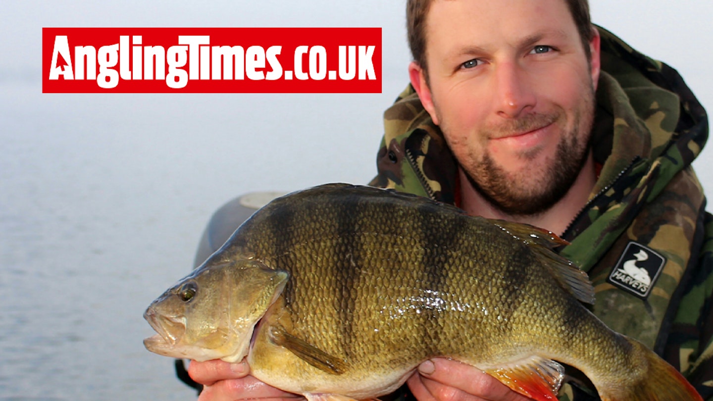 Angler left ‘grinning all day’ after huge perch catch