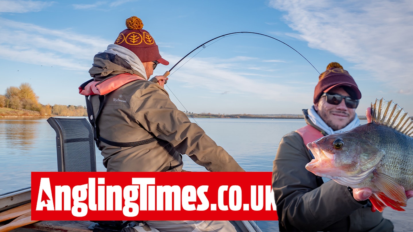 16 Big perch landed on ‘red-letter’ trout fishing trip