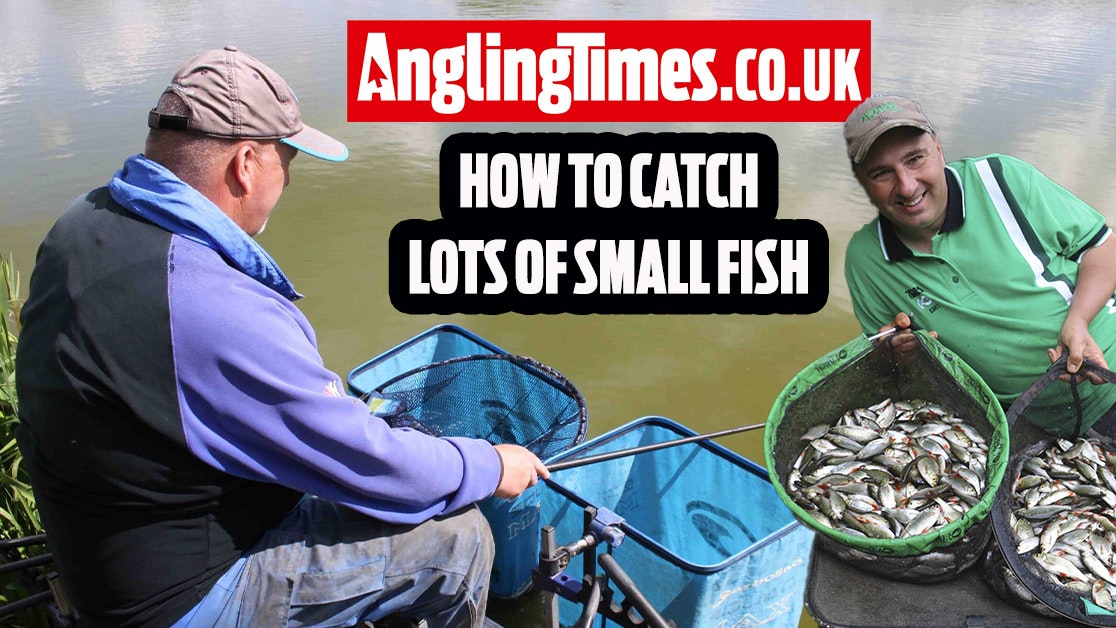 How to win a fishing match with only small fish | Angling Times