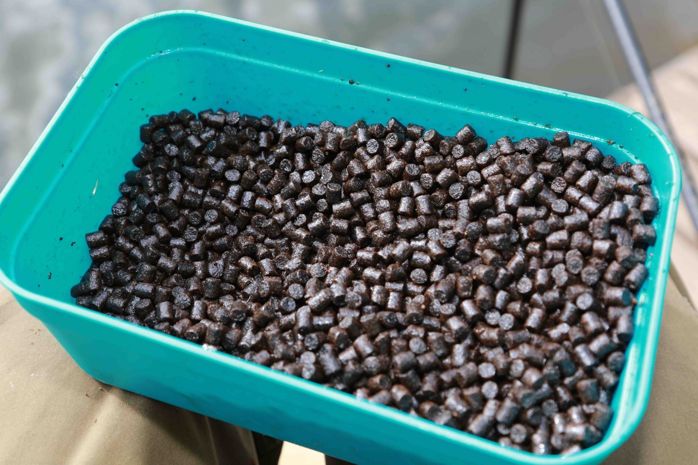 oily pellets seem to score better for bigger roach
