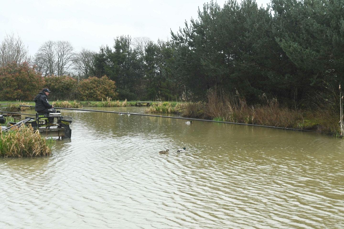 Thousands of roach and rudd removed to boost carp weights at top