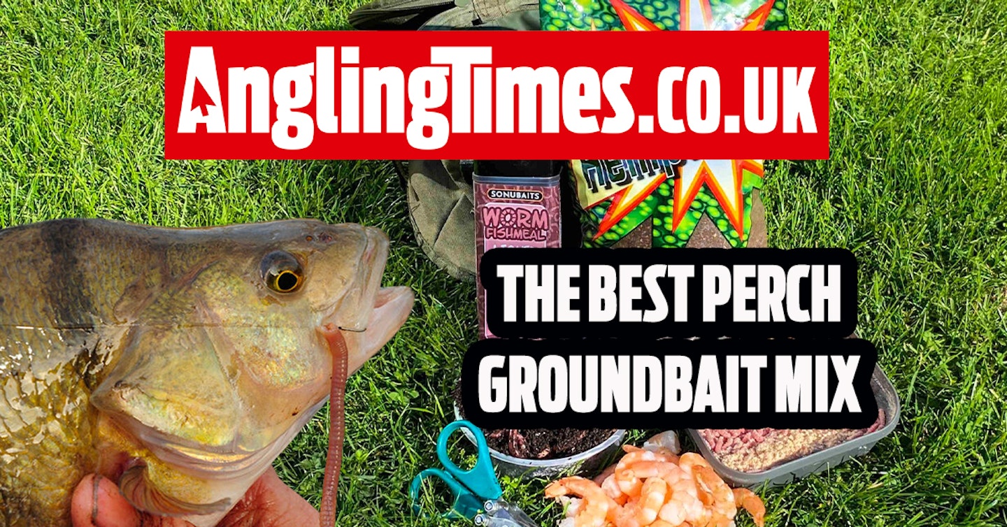 How to make a deadly groundbait for perch fishing