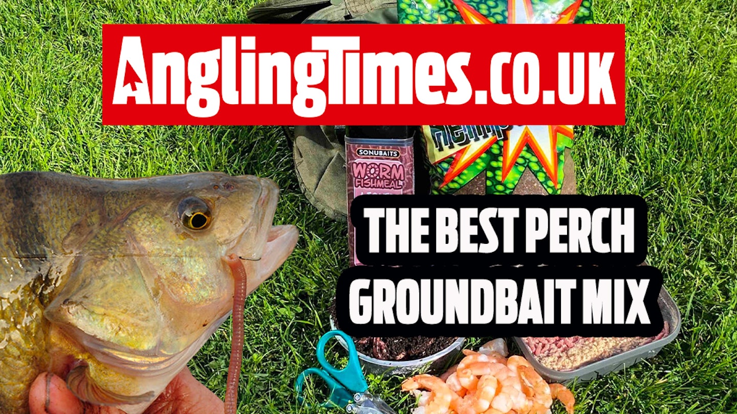 How to make a deadly groundbait for perch fishing
