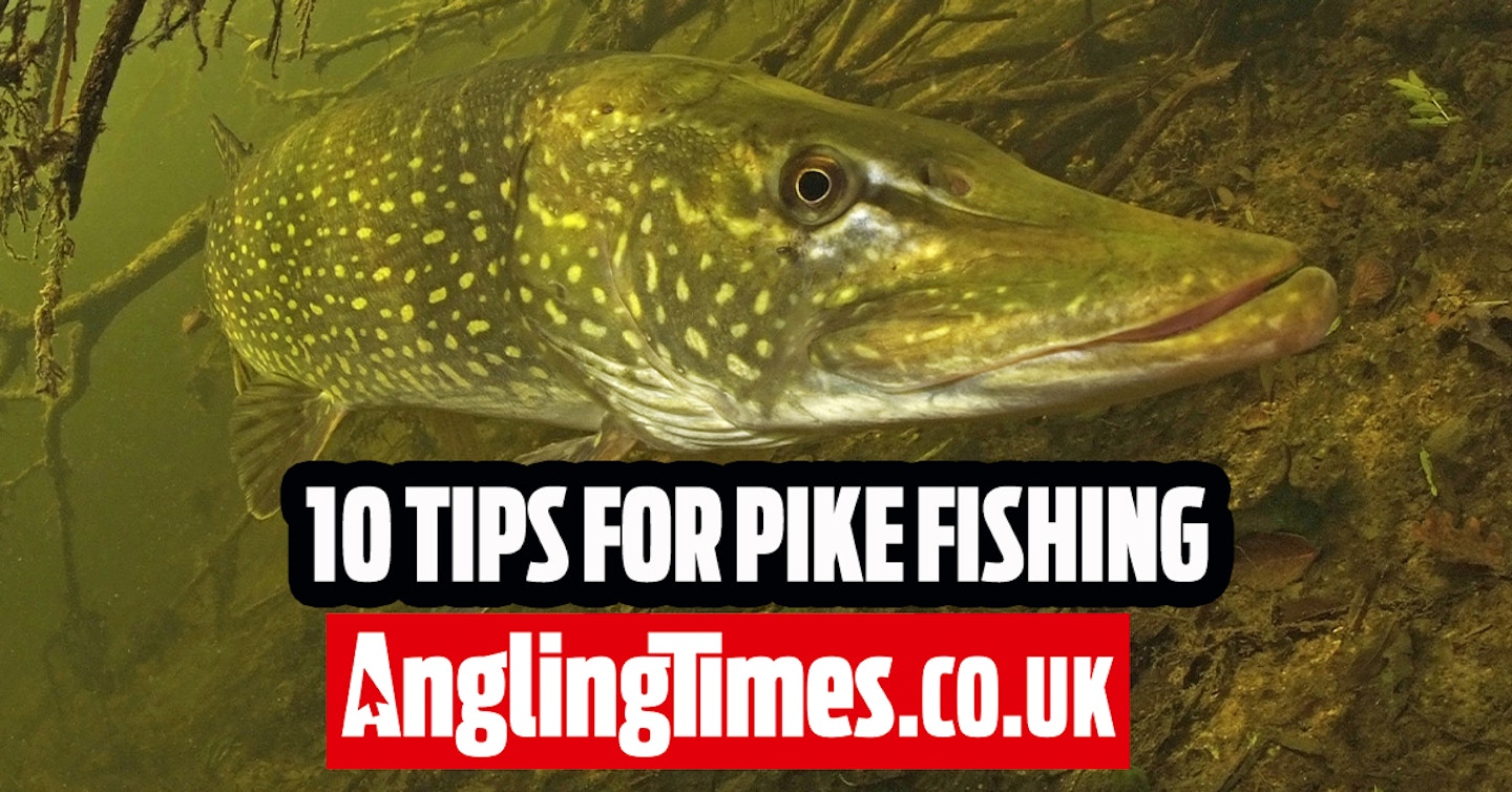 10 Tips to help you catch bigger pike