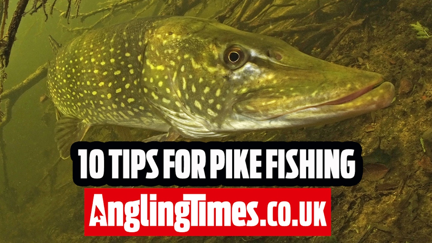 10 Tips to help you catch bigger pike