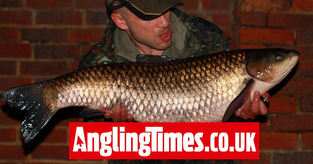Surprise river grass carp caught ‘off the top’ at night Angling Times