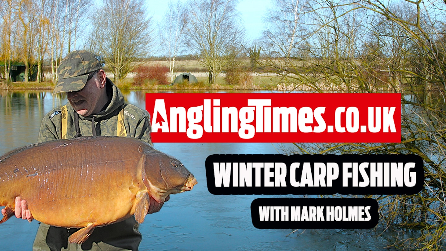 Winter Carp Fishing With Mark Holmes