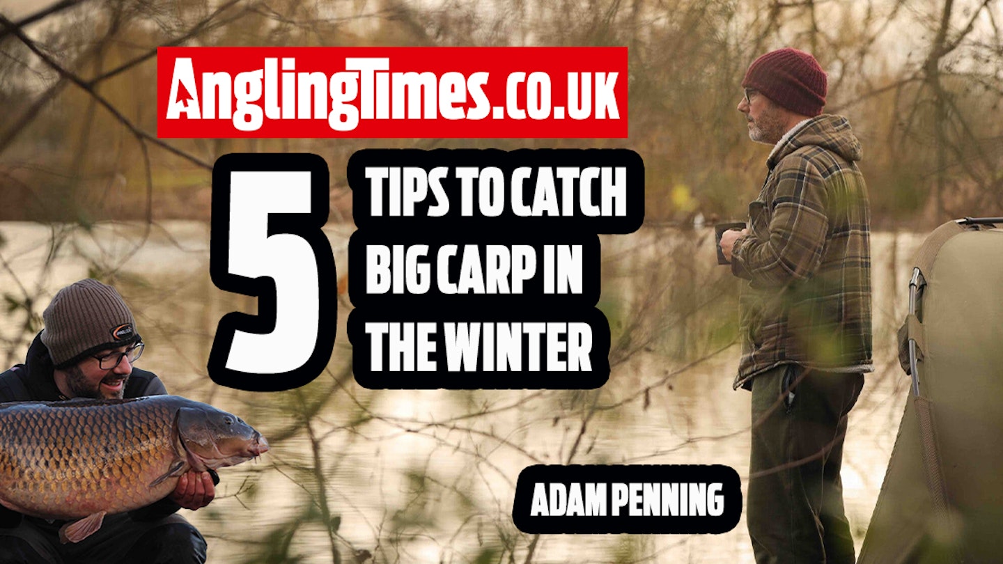 Do these 5 things to improve your winter carp fishing | Adam Penning