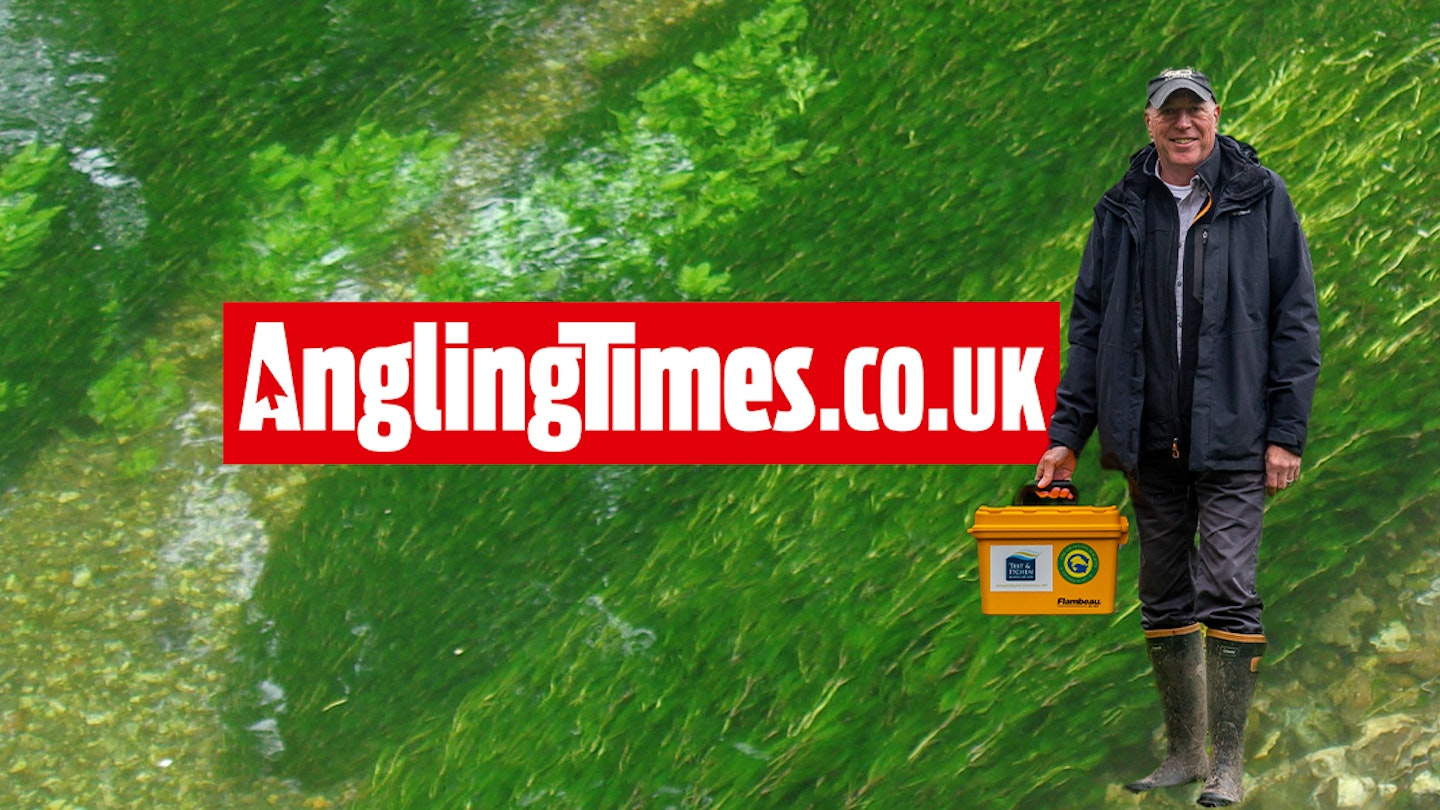 Volunteers take action to protect UK chalk streams 'before it's too late'