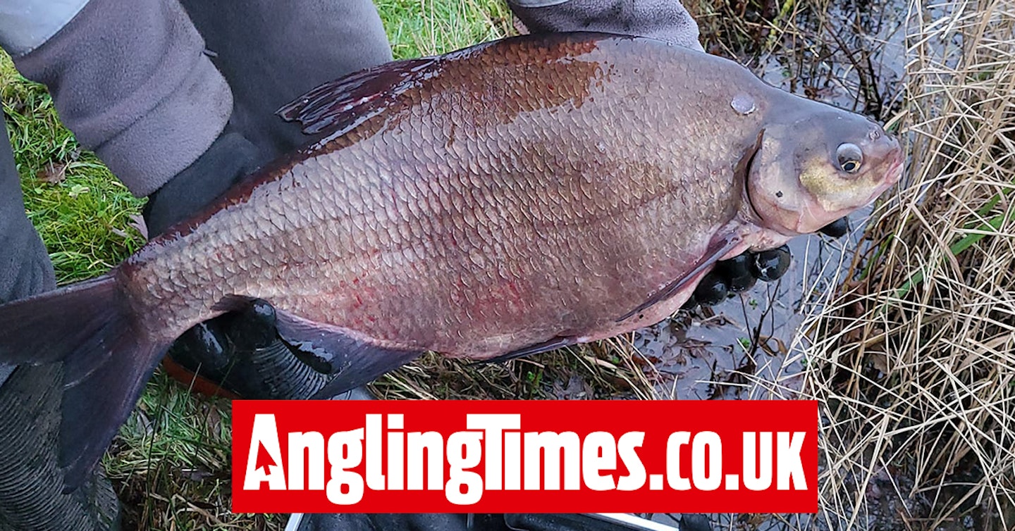 4000lb of roach, skimmers and huge 10lb-plus bream stocked in Blythe Waters revamp