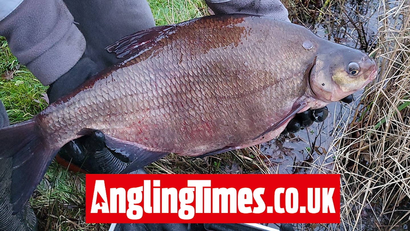 4000lb of roach, skimmers and huge 10lb-plus bream stocked in Blythe Waters revamp