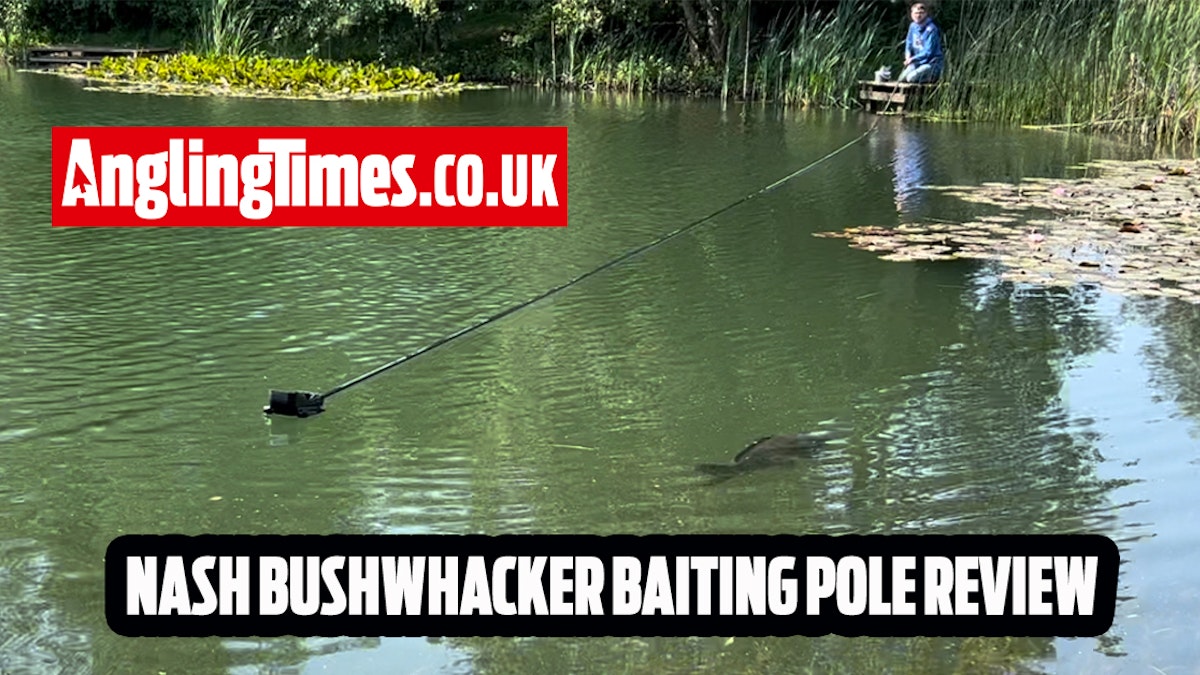 Nash Bushwhacker Pro Baiting Pole Review