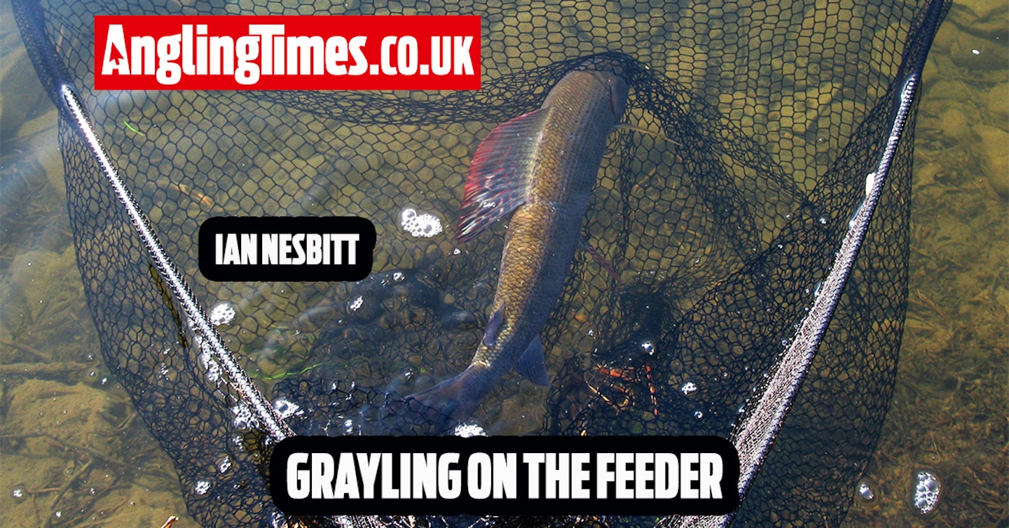 How to catch grayling on the feeder | Ian Nesbitt