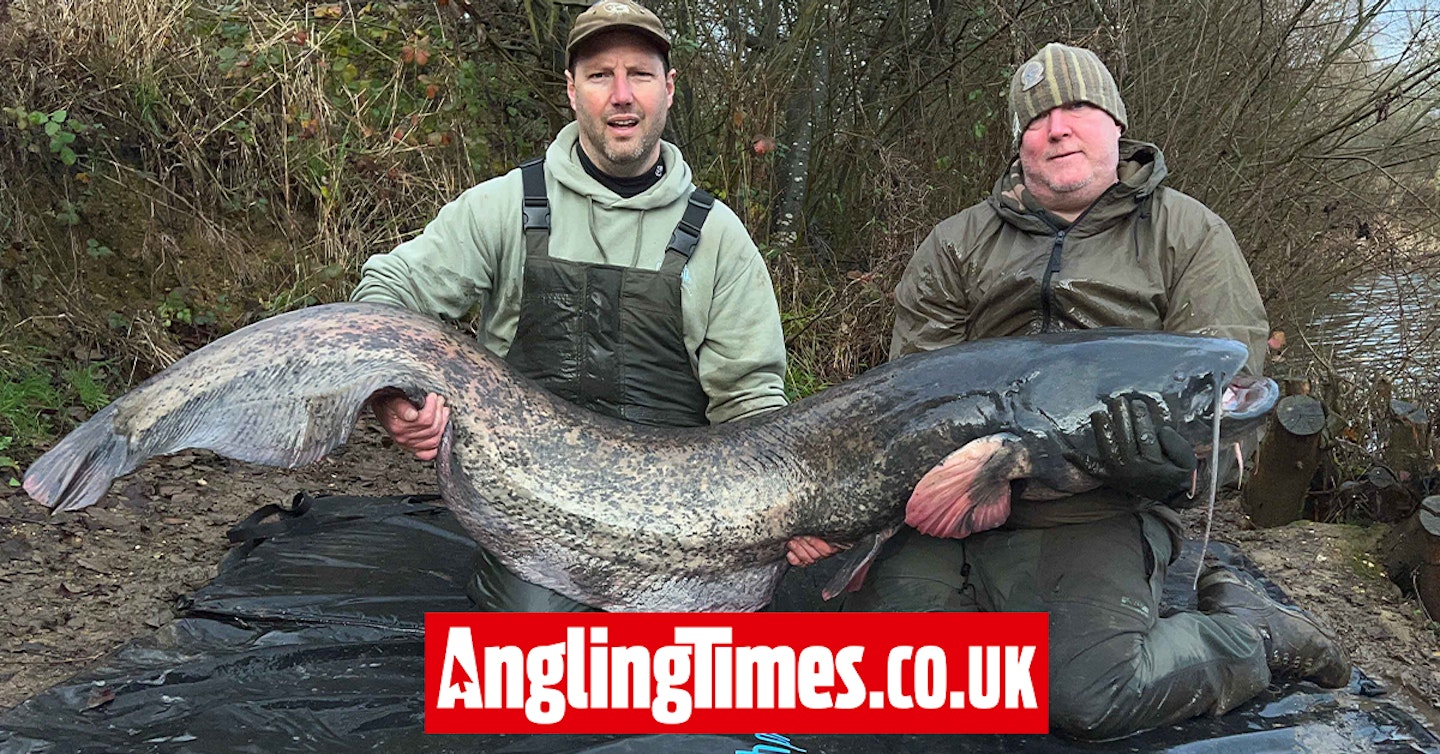 Angler banks one of the biggest-ever lure-caught catfish from UK waters