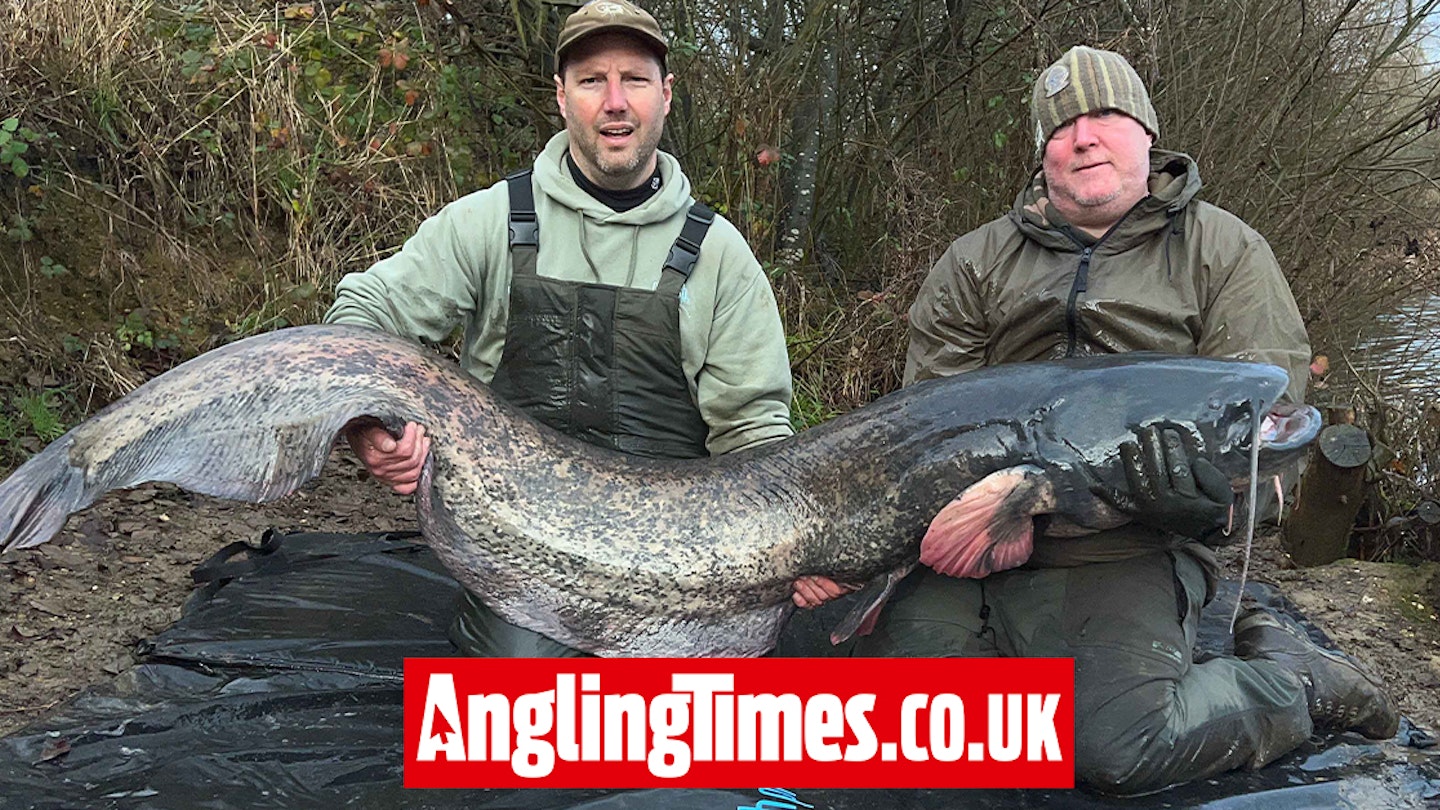 Angler banks one of the biggest-ever lure-caught catfish from UK waters