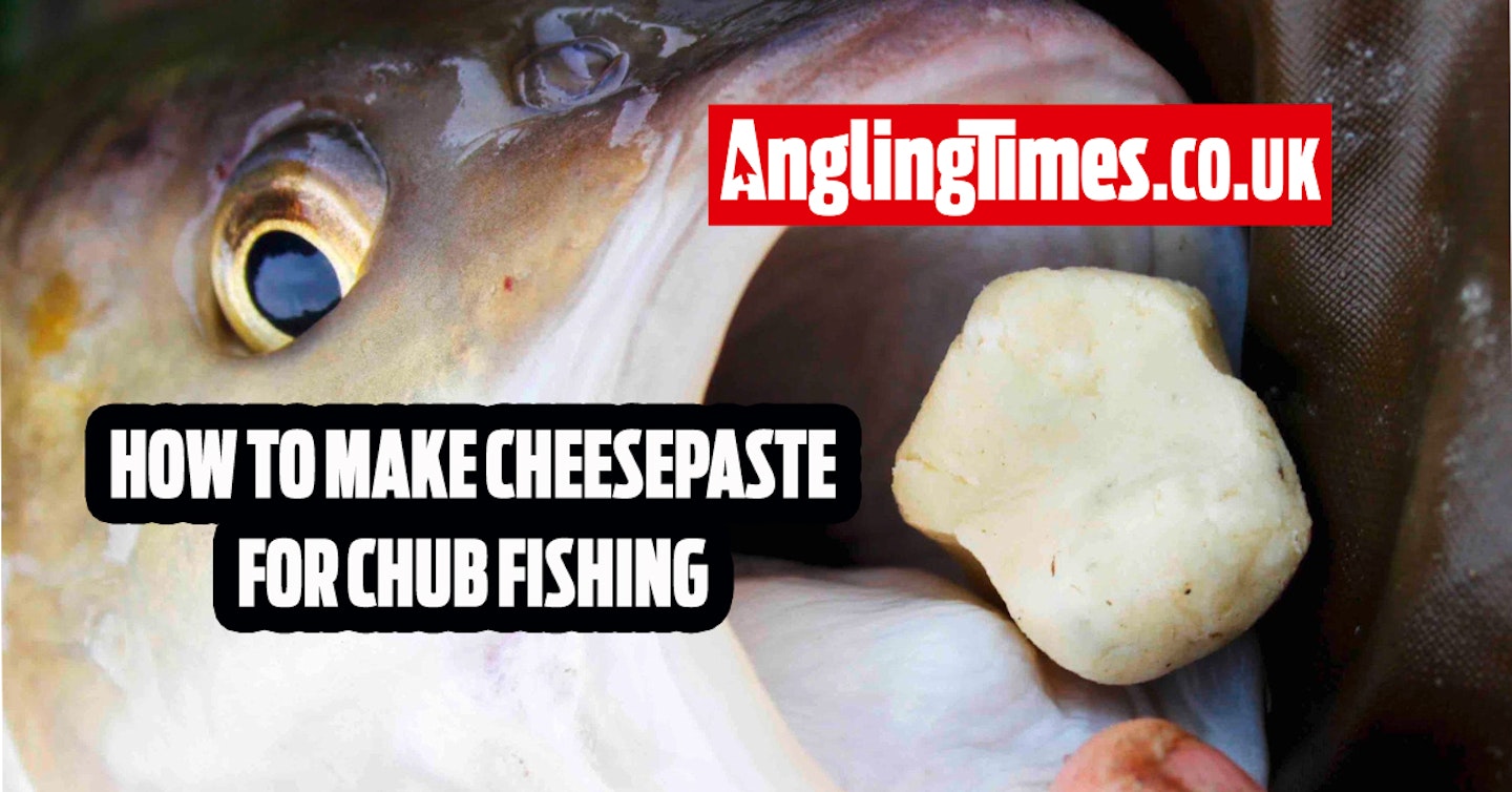 How to go chub fishing with cheesepaste