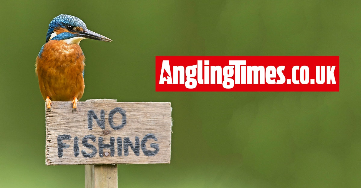 Calls grow for ‘ancient’ closed season byelaws to be scrapped Angling