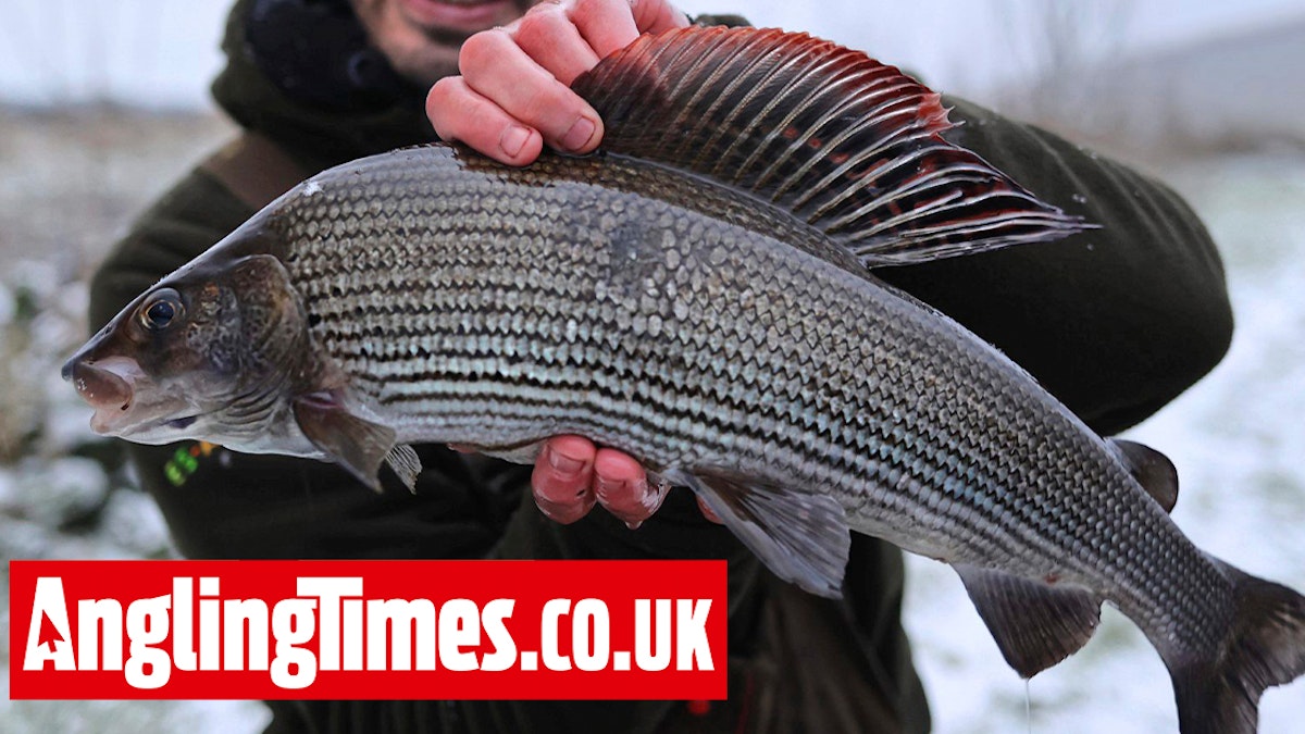 Eight-hour drive brings stunning best grayling | Angling Times