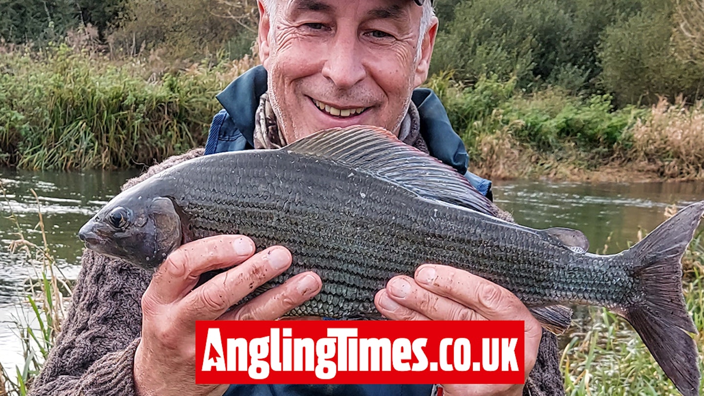 Persistence pays off for huge Dorset grayling