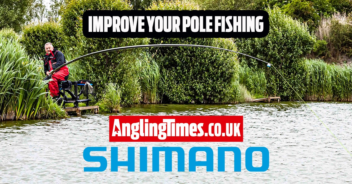 Shimano Pole Fishing Advice  ?ar=16 9&fit=crop&crop=top&auto=format&w=1200&q=80