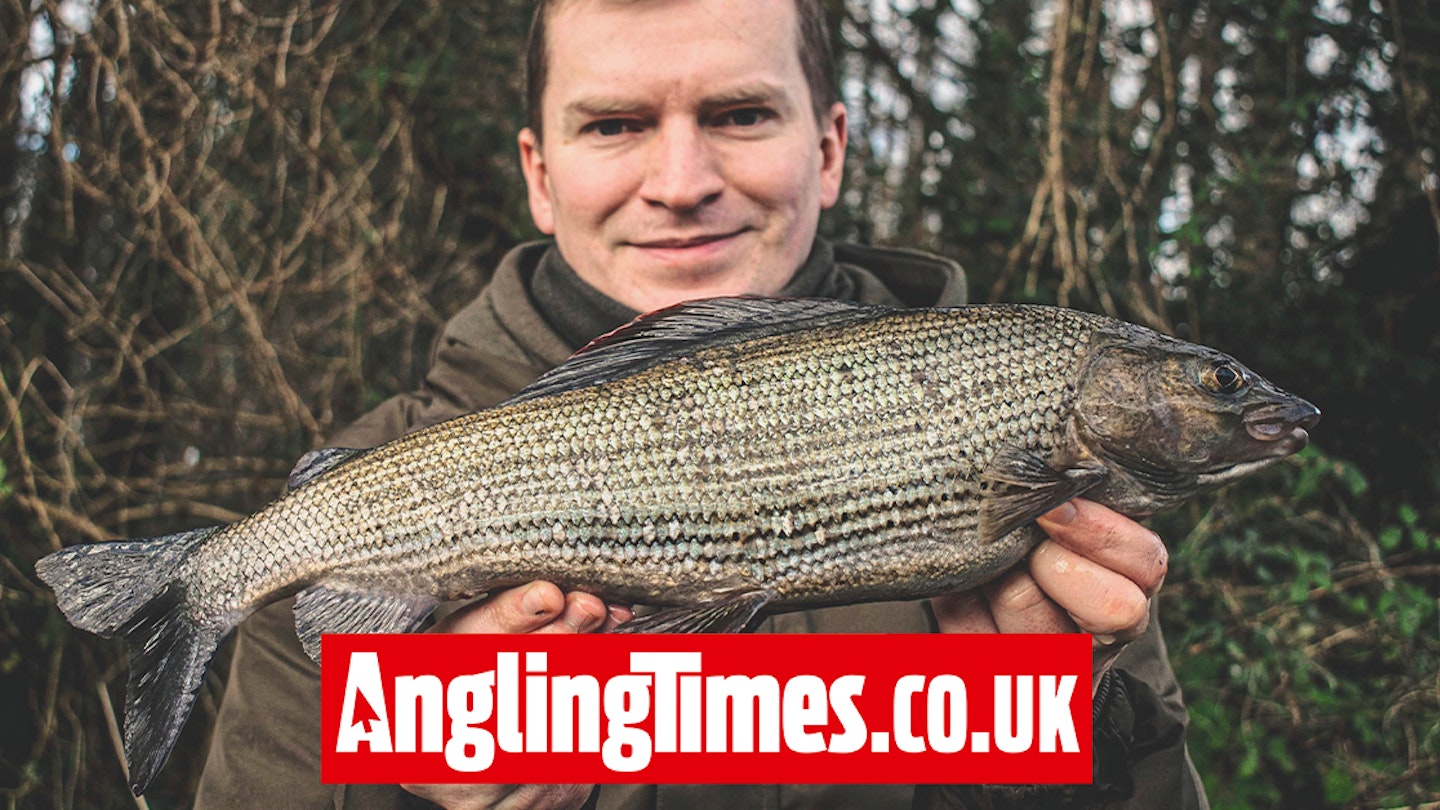 Quality grayling caught ‘Stret pegging’
