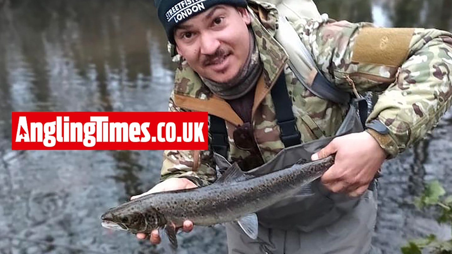 Wandle salmon is one of the most significant fish landed in the UK for decades