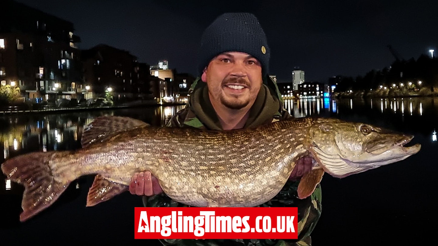 Quality urban pike hits lure after dark