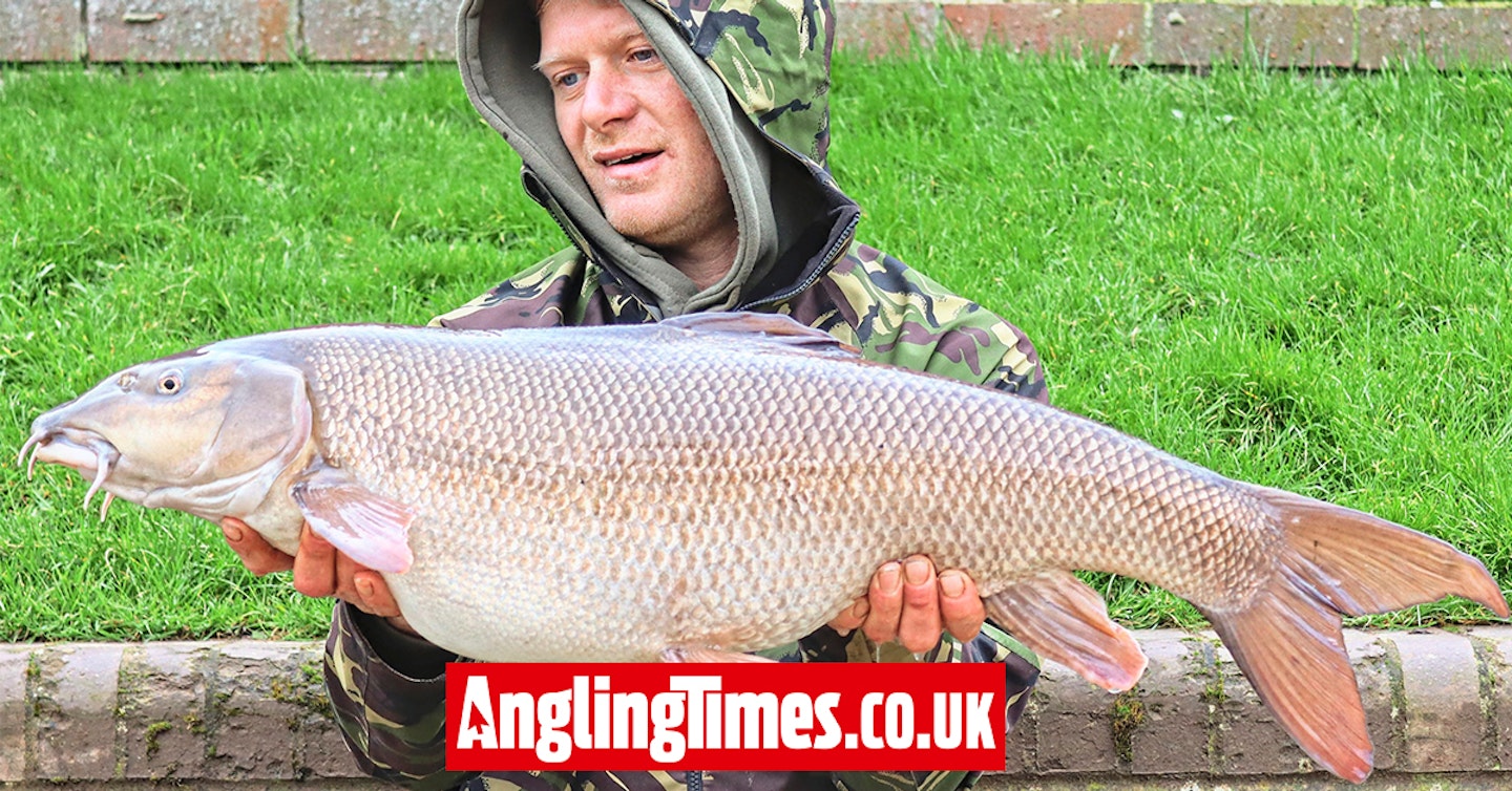Powerful Trent barbel fights like a monster carp!