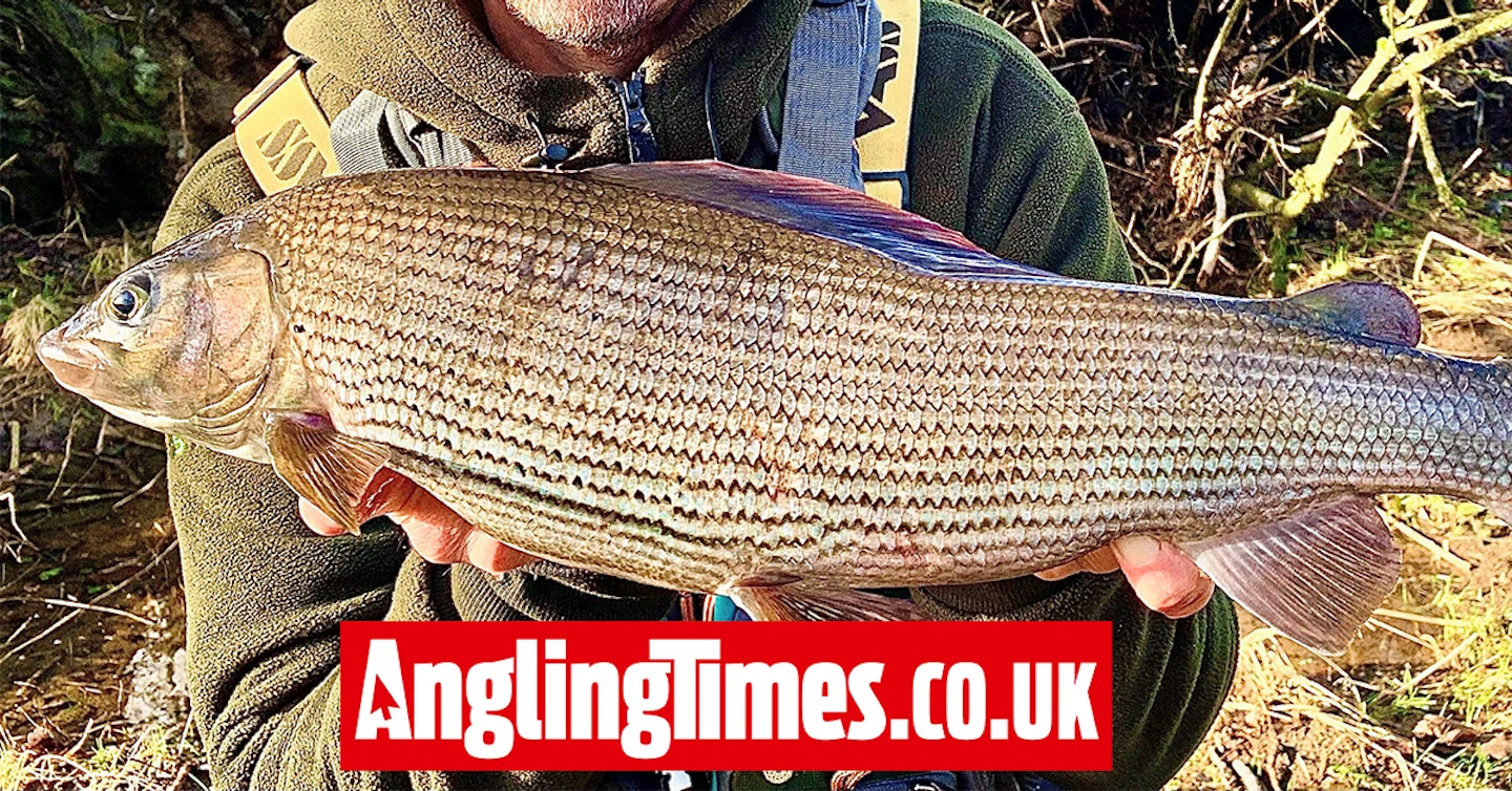 Superb personal best grayling is 55cm long!