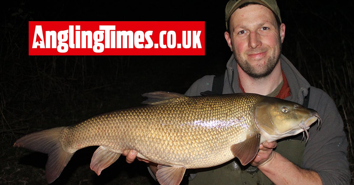 Homemade bait tricks pristine barbel from small southern river