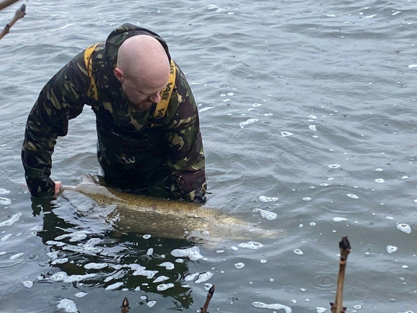 Chew Valley record pike being returned (Image: Martin Cattermole)