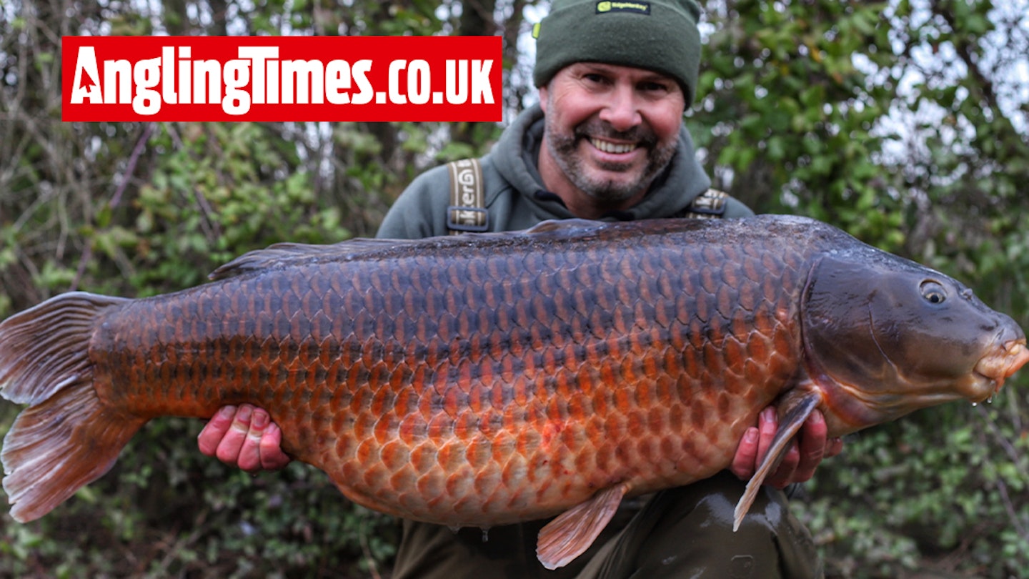 Enormous ‘old English common carp’ falls to a solid bag rig