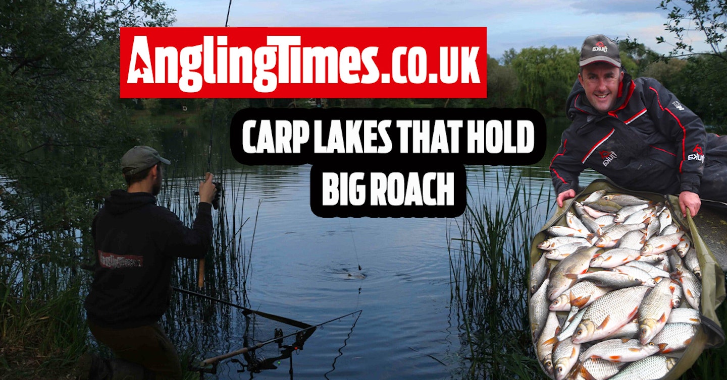 Fishing Near Me: The Best Carp Venues For Specimen Roach