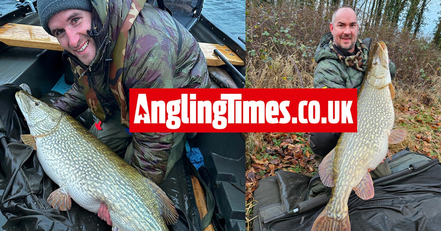 The other giant pike landed in an unbelievable spell of UK predator fishing  at Chew