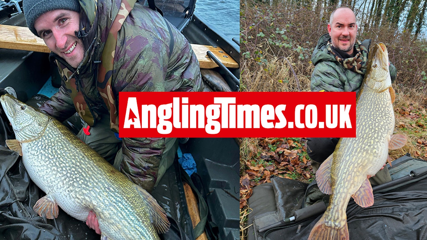 The other giant pike landed in an unbelievable spell of UK predator fishing at Chew