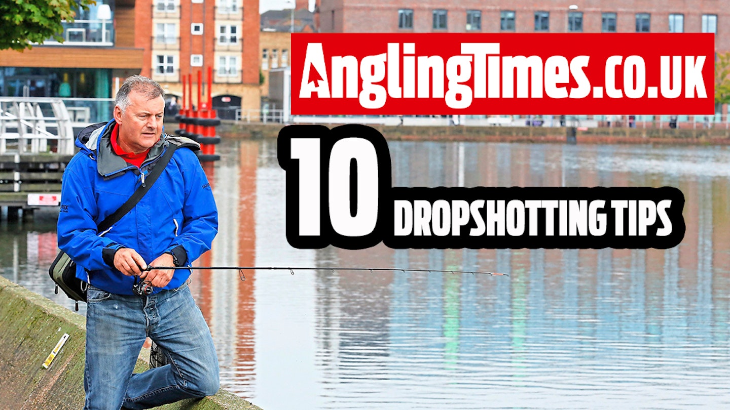 10 Fantastic Tips For Dropshotting