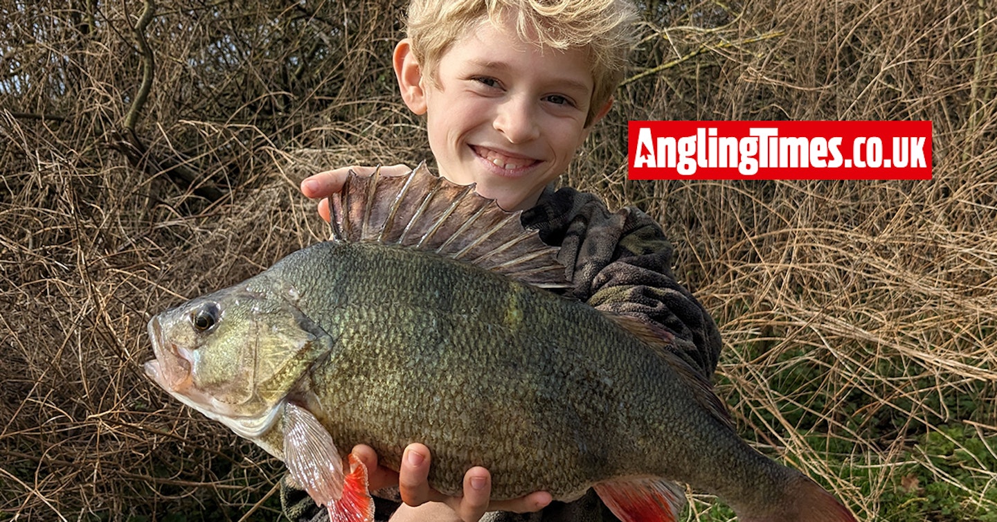 Youngster shatters perch best by over 3lb!