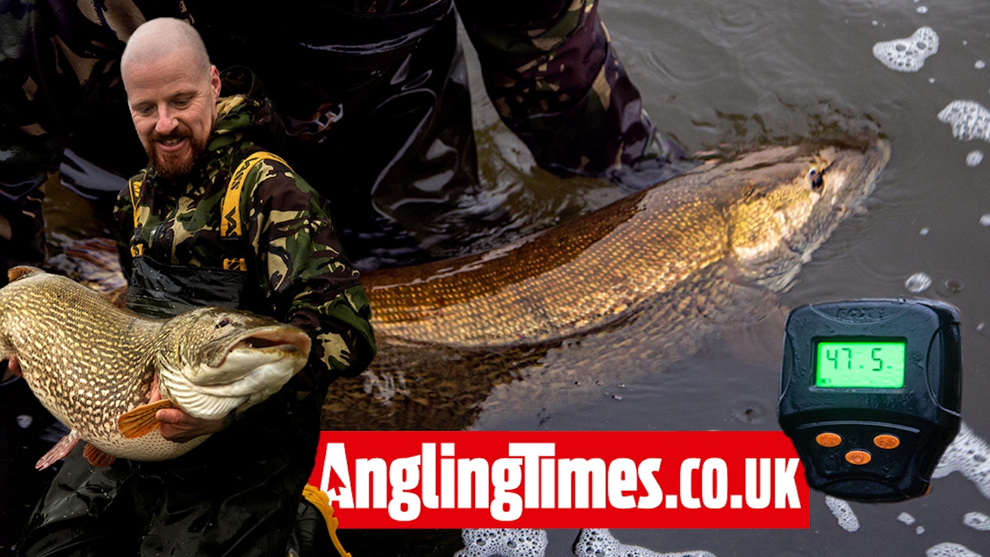 Record pike claim accepted