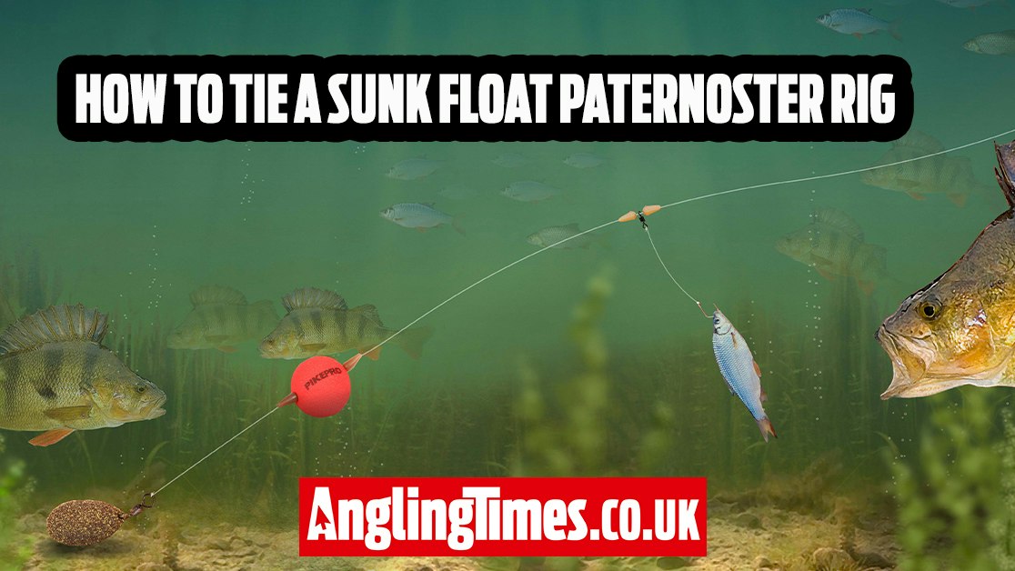 Perch Rig How to tie a sunk float paternoster rig for specimen perch fishing ...