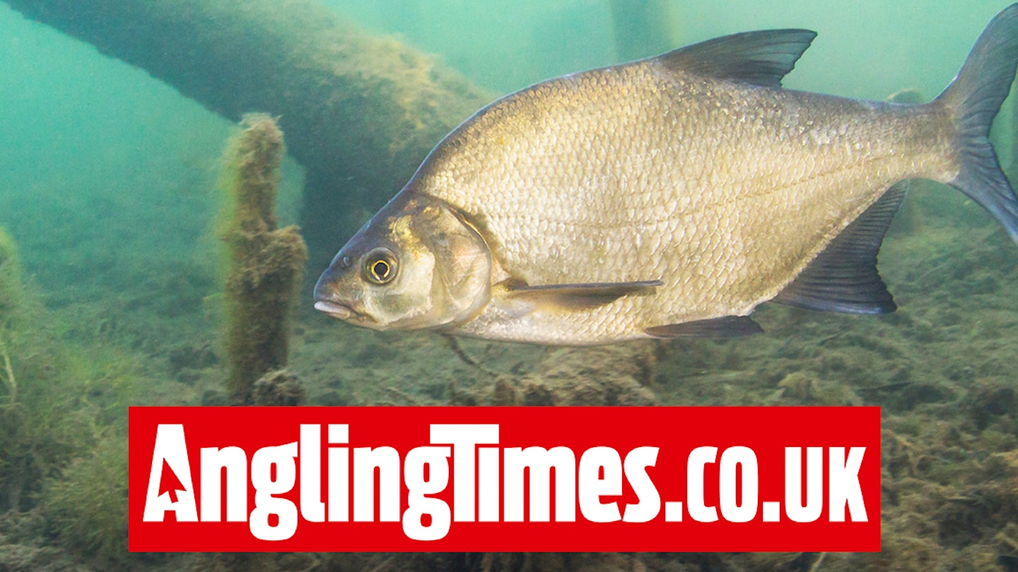 110lb catch of bream smashes record on Somerset river