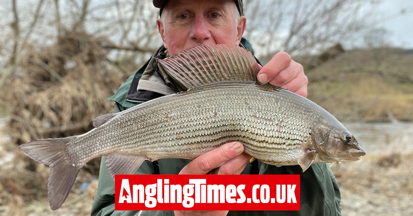 Homemade float brings angler a ‘jaw-dropping’ grayling haul