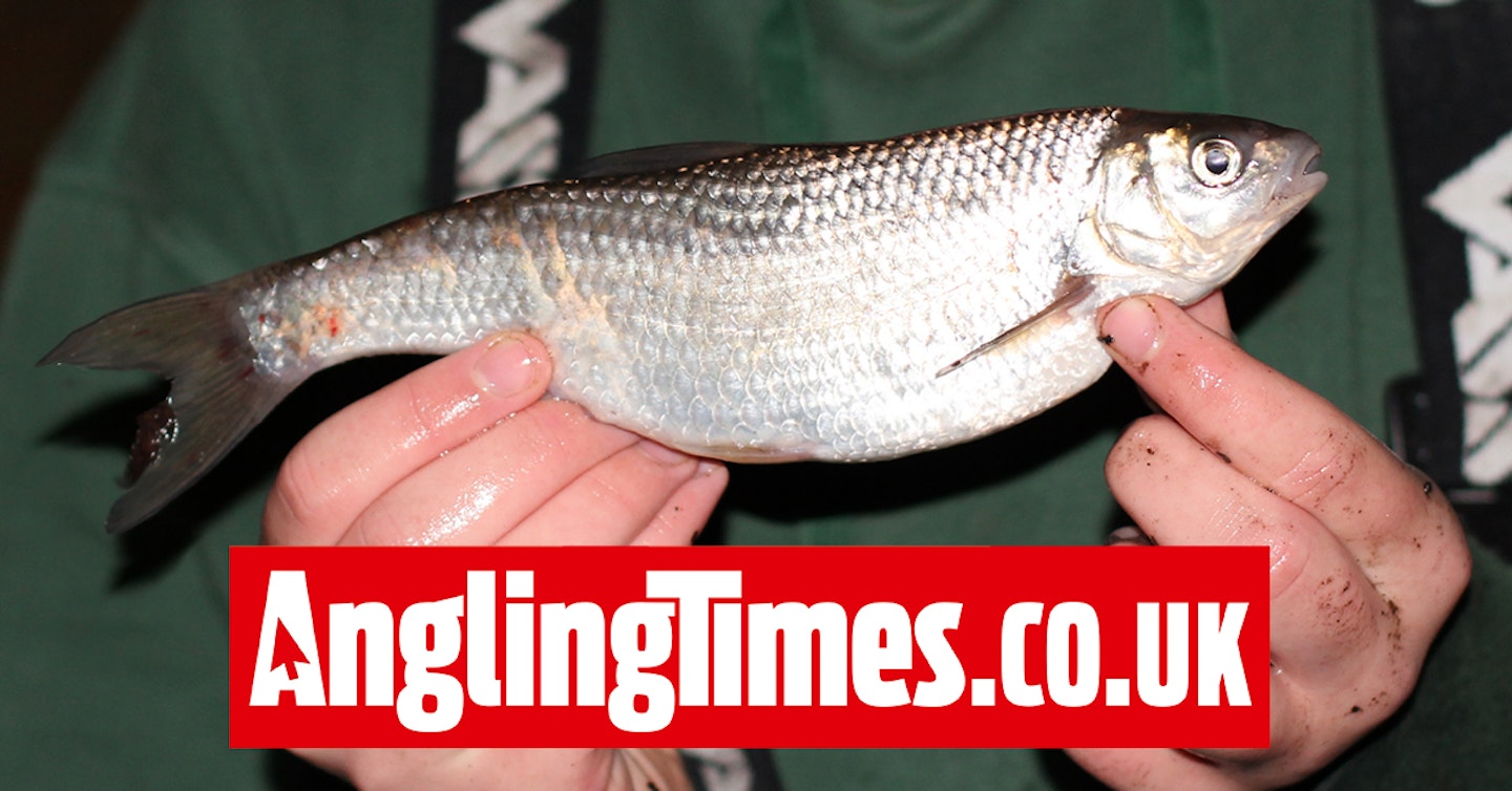 13-year-old lands one of Britain’s rarest ‘big fish’ on fishing trip with dad