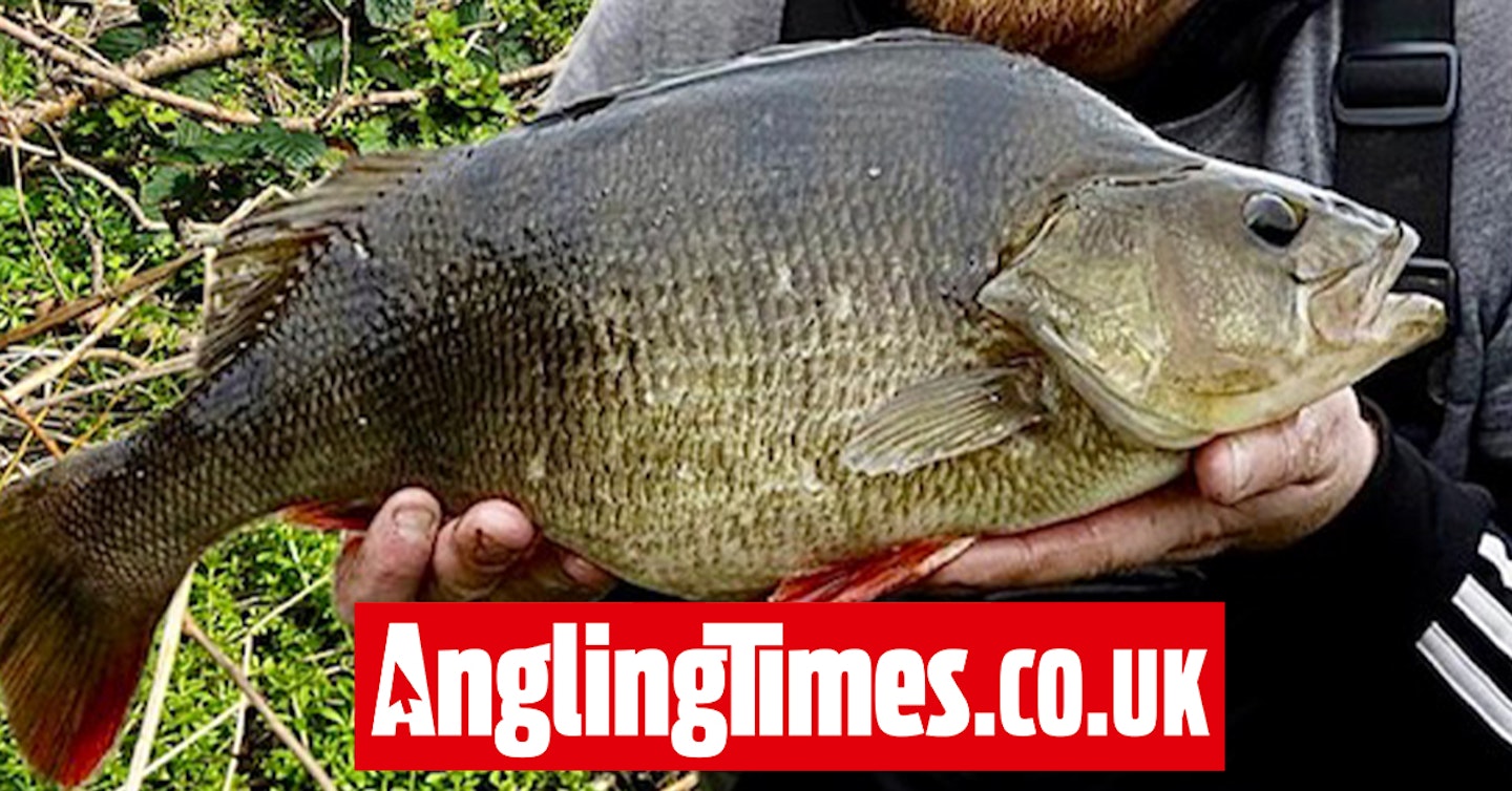 Beast of a perch is lucky number 13 for Yorkshire angler
