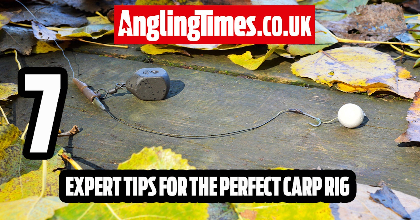 7 Golden Rules From Carp Rig Experts
