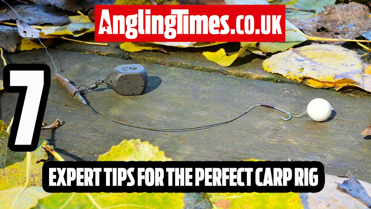 Good Carp Rig 7 Golden Rules From Carp Rig Experts | Angling Times