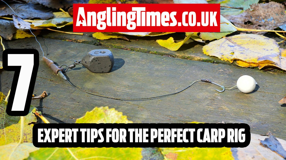 Carp Riggs 7 Golden Rules From Carp Rig Experts | Angling Times