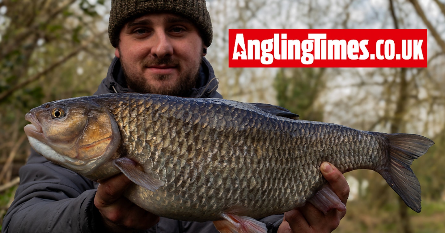 Tactical switch brings beautiful River Colne chub