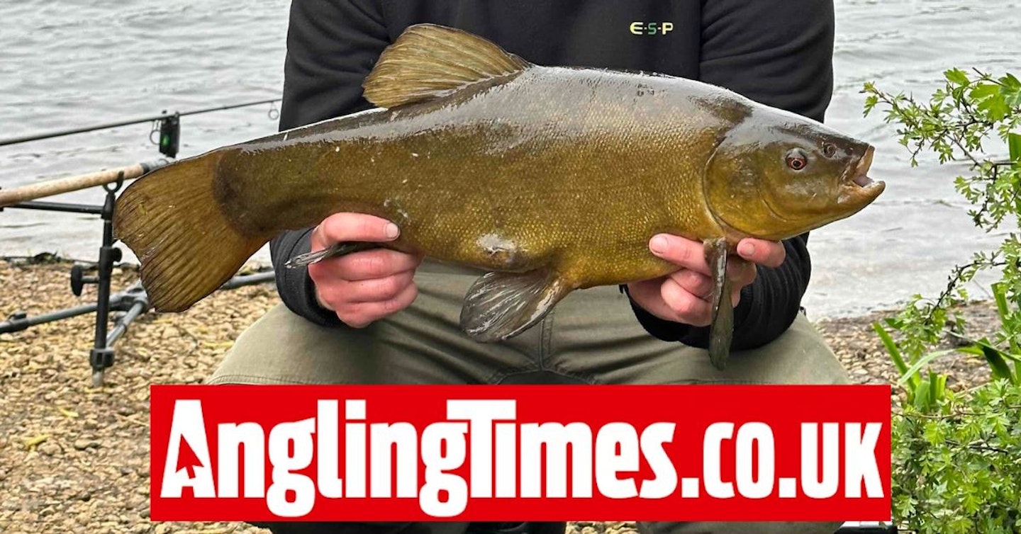 Sign up for the Tench National Championships