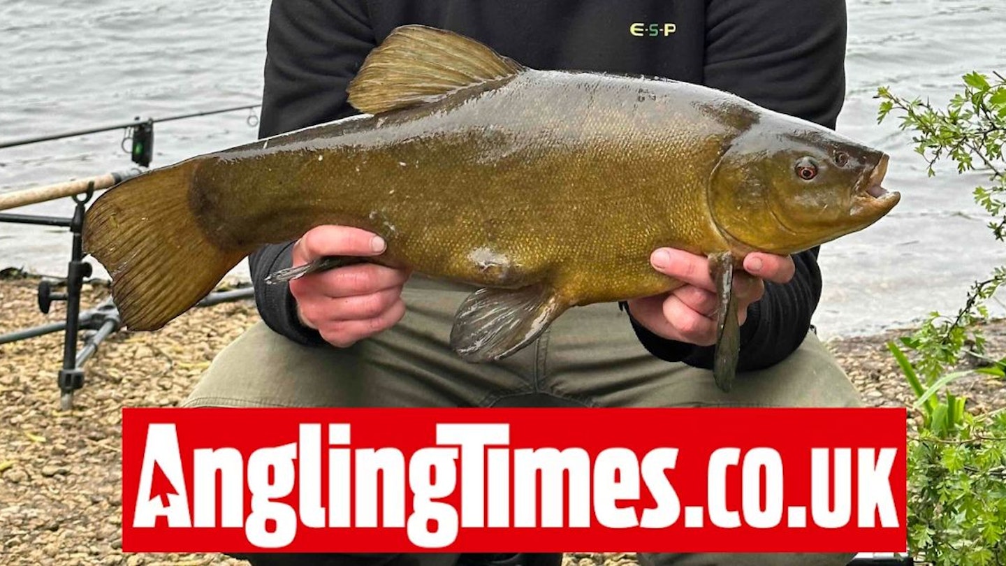 Sign up for the Tench National Championships
